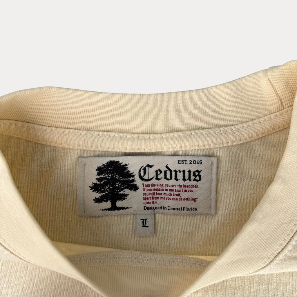 Jesus, Lover of My Soul Tee — 33