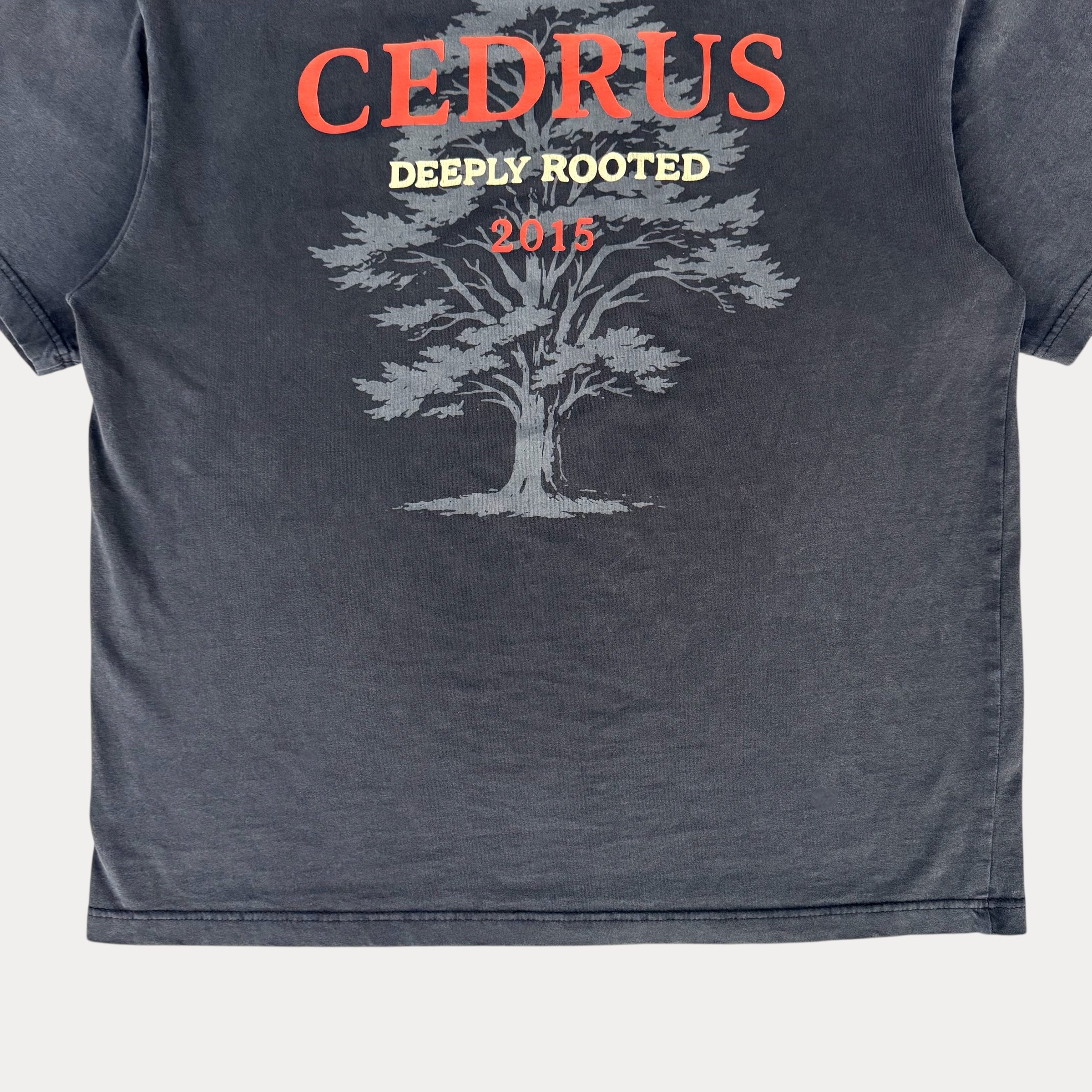 Cedrus Heritage Tee — Deeply Rooted