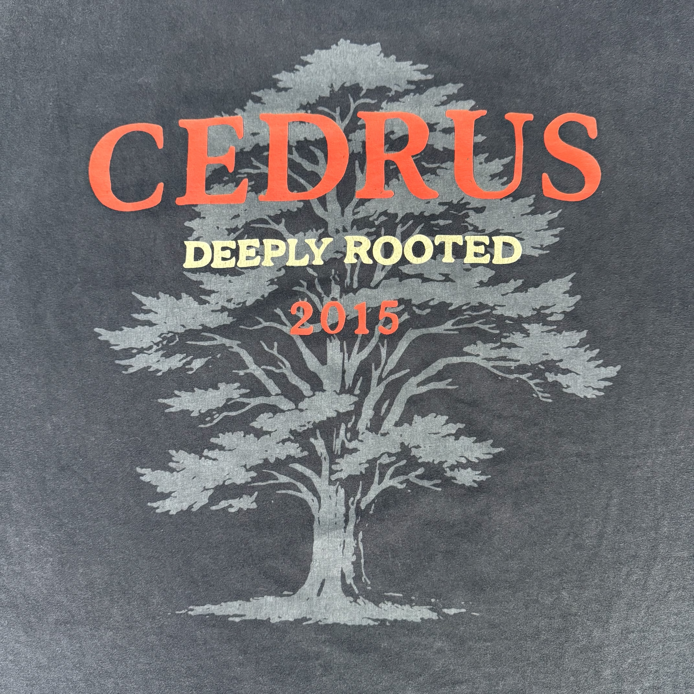 Cedrus Heritage Tee — Deeply Rooted