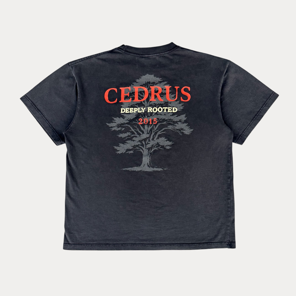 Cedrus Heritage Tee — Deeply Rooted