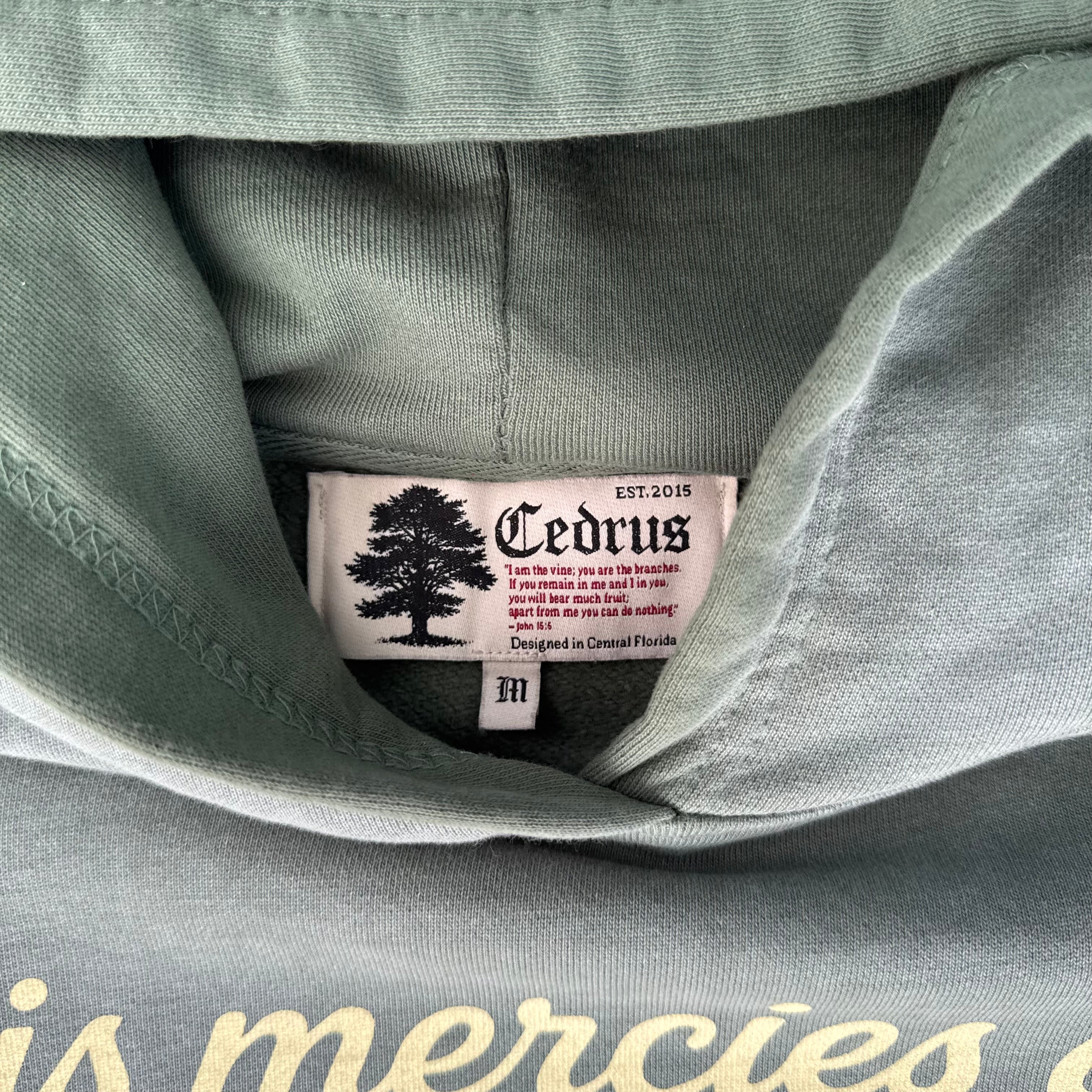 His Mercies Hoodie