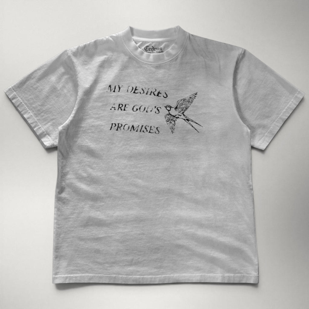 My Desires Are God’s Promises Tee