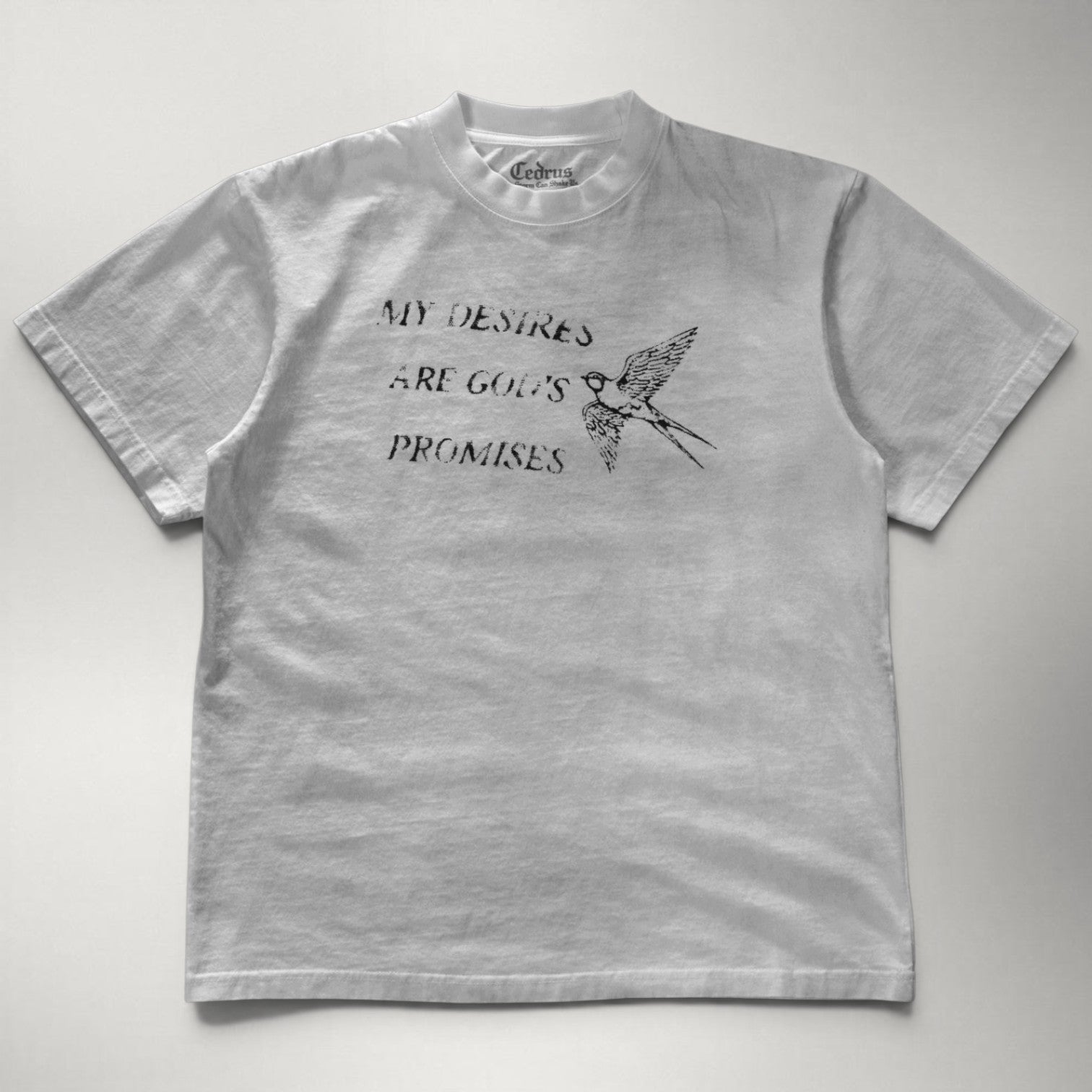 My Desires Are God’s Promises Tee
