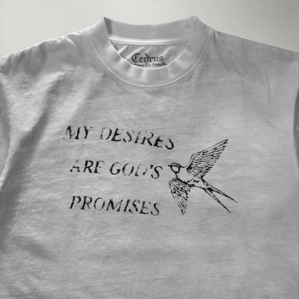 My Desires Are God’s Promises Tee