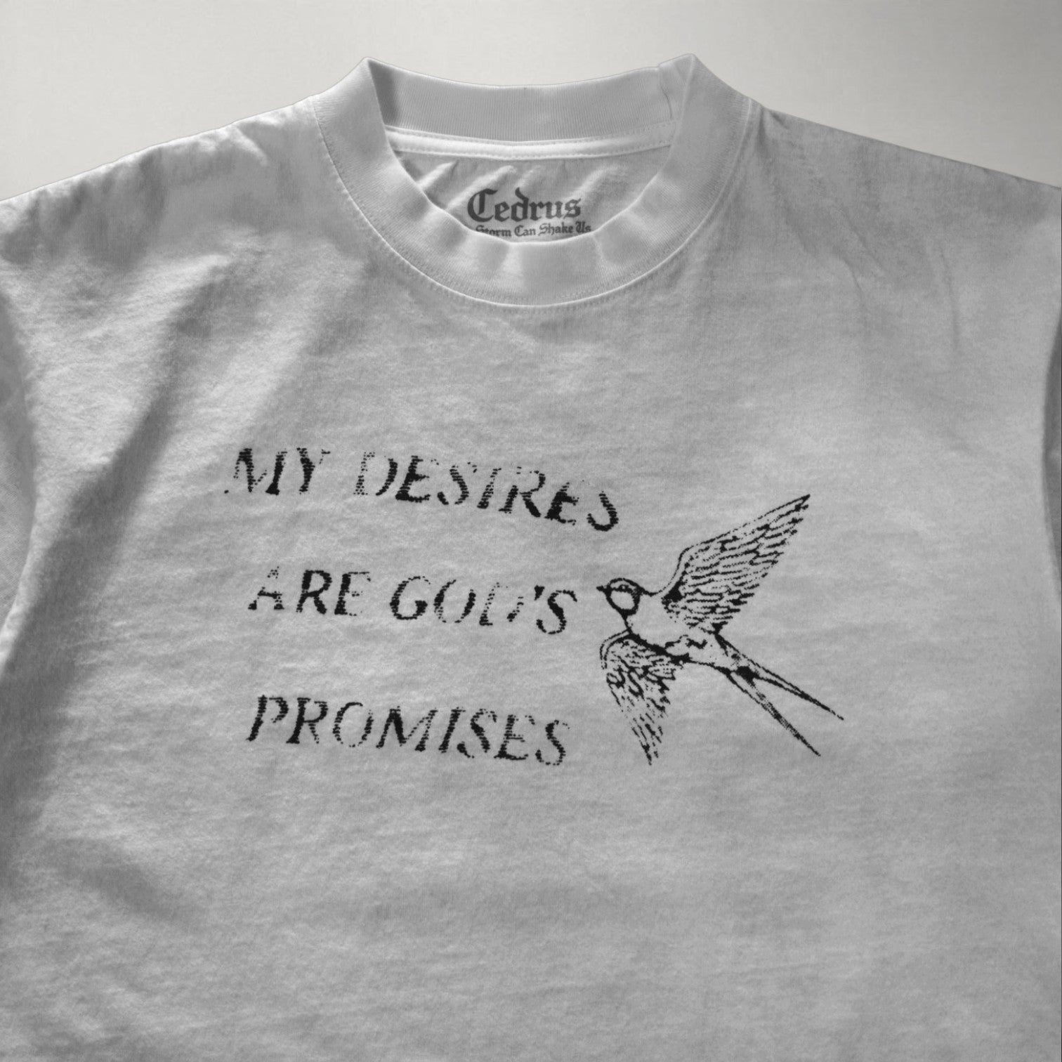 My Desires Are God’s Promises Tee