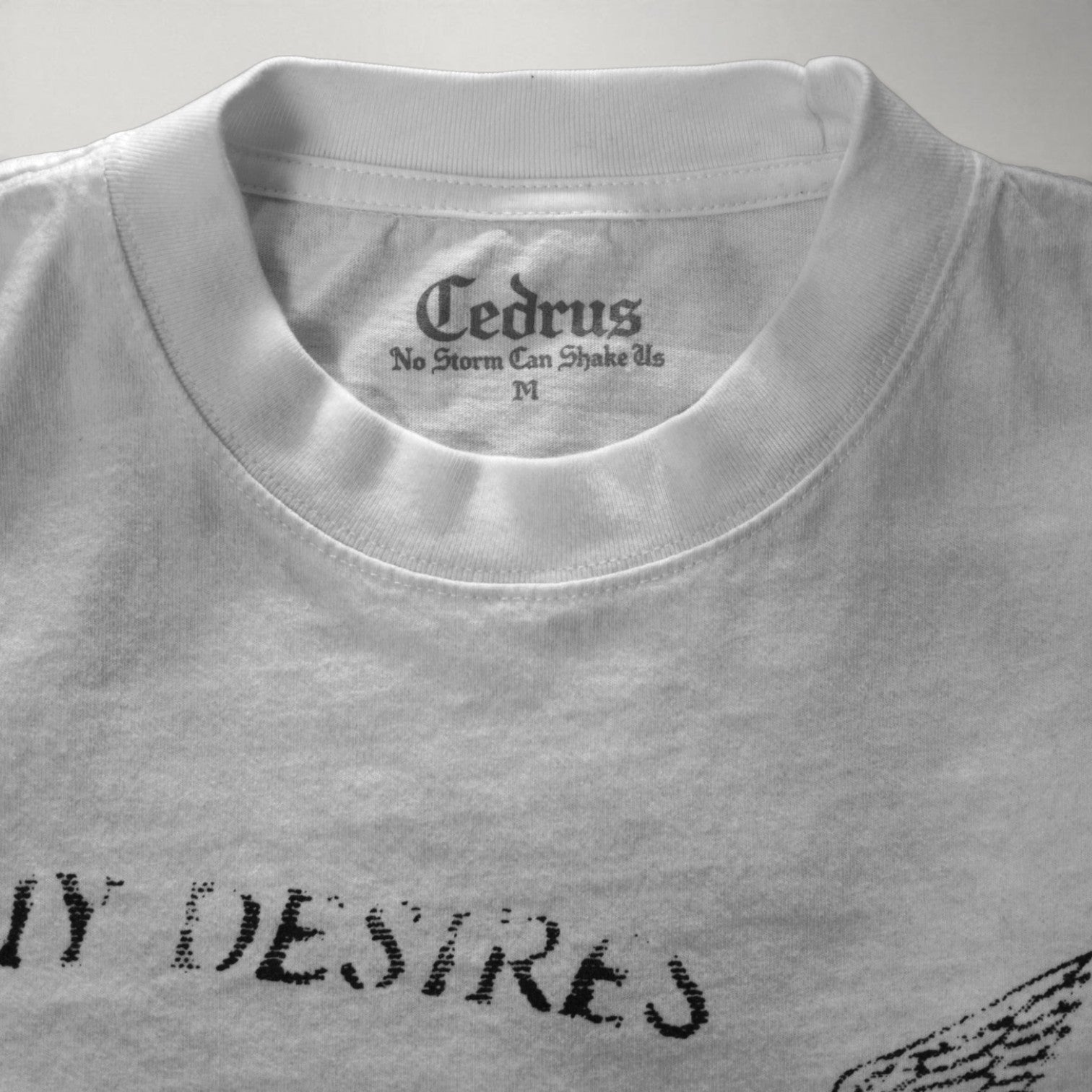 My Desires Are God’s Promises Tee