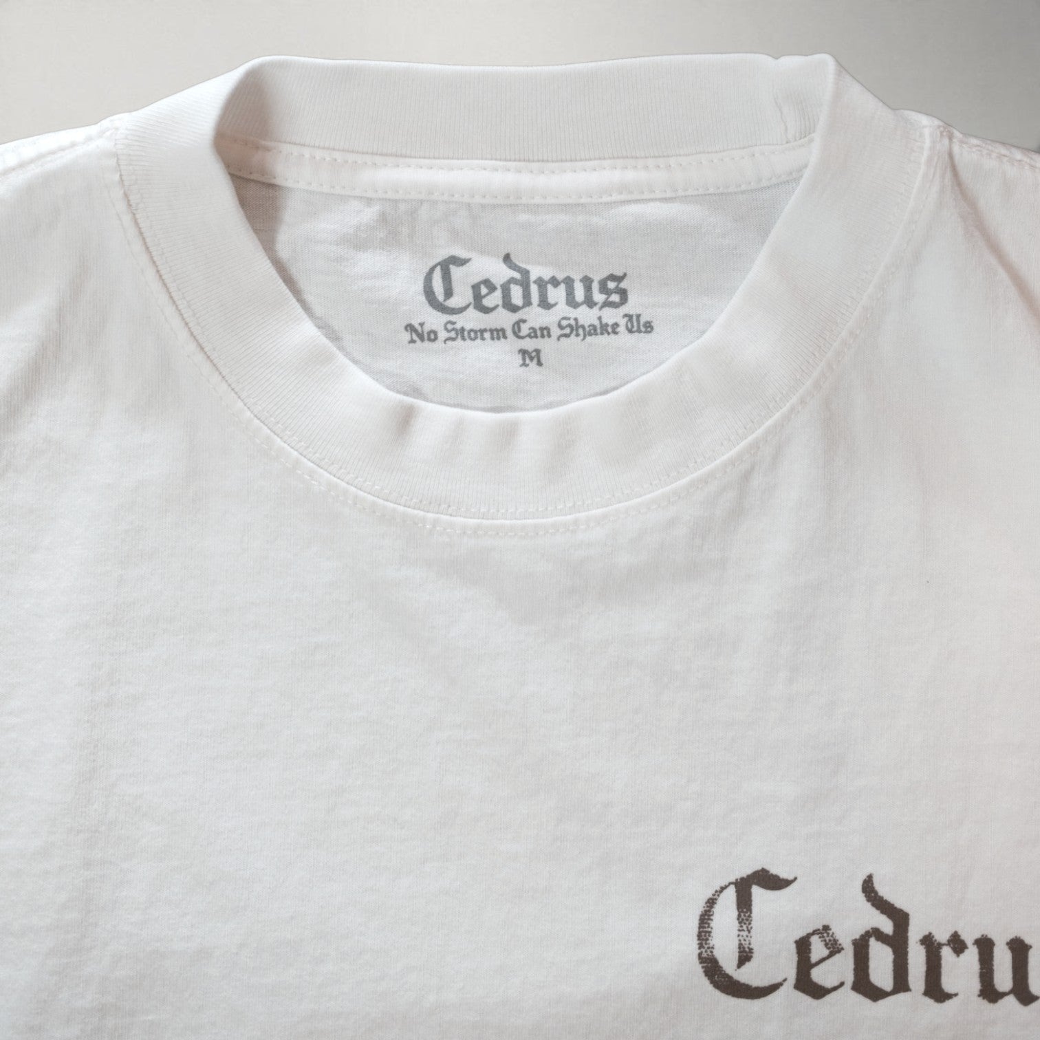 No Storm Can Shake Us Muscle Tee