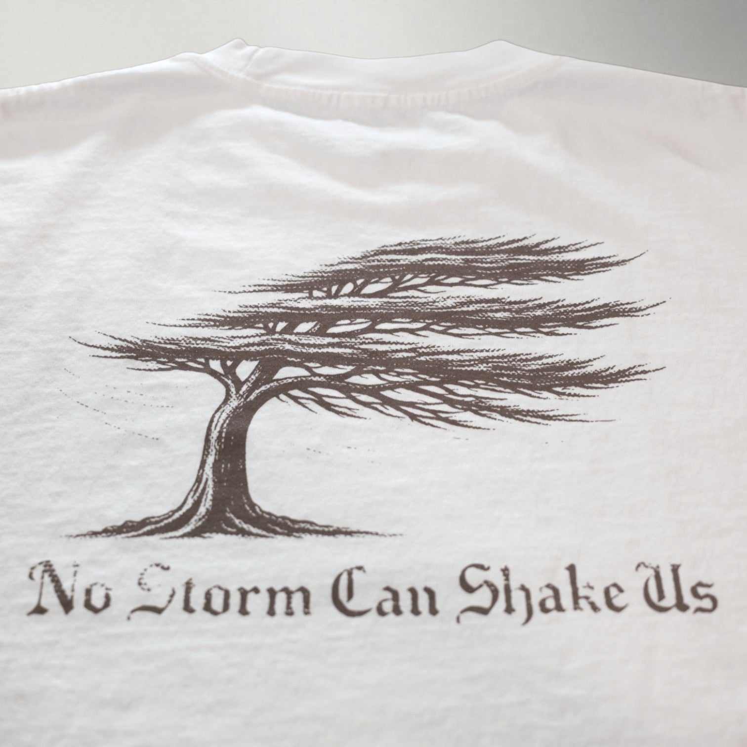 No Storm Can Shake Us Muscle Tee