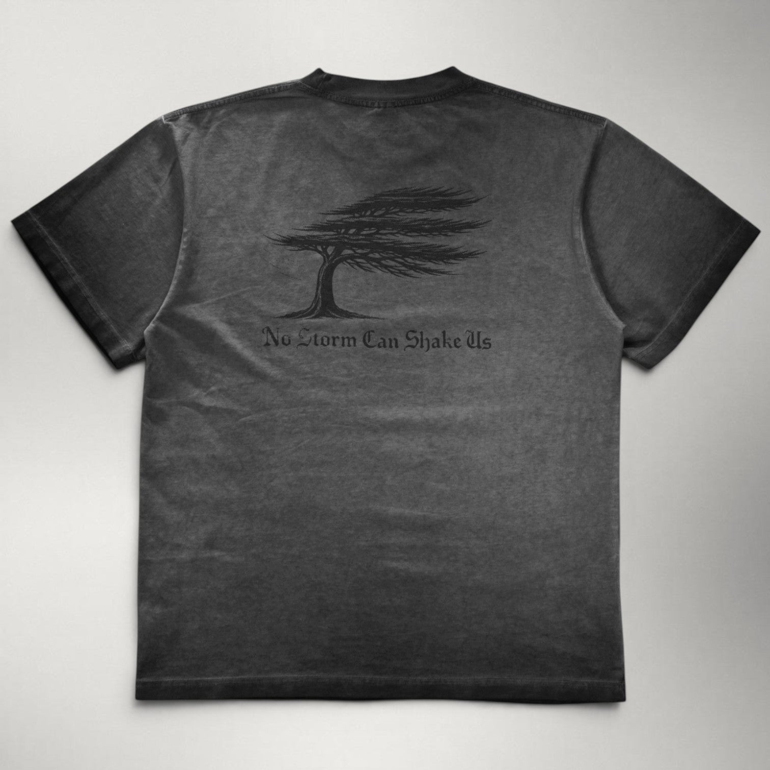 No Storm Can Shake Us Tee