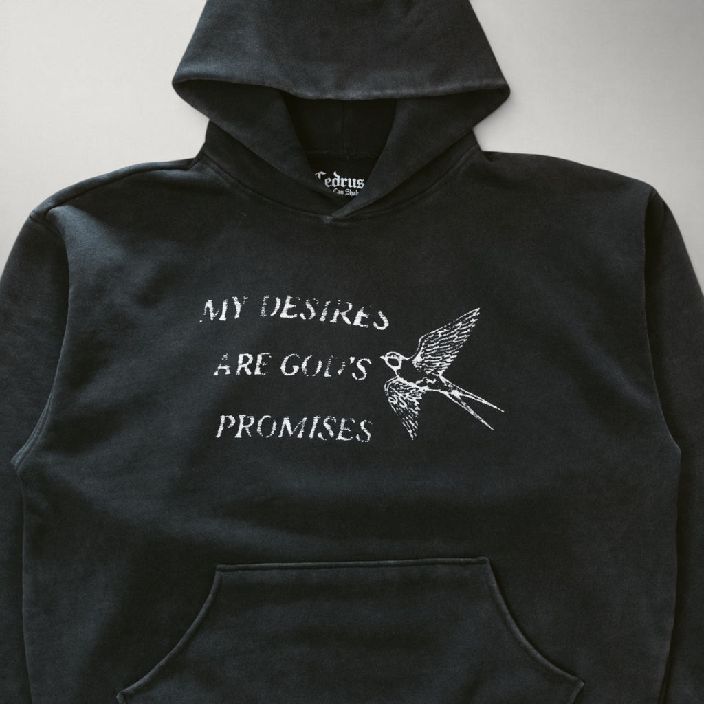 My Desires Are God’s Promises Hoodie