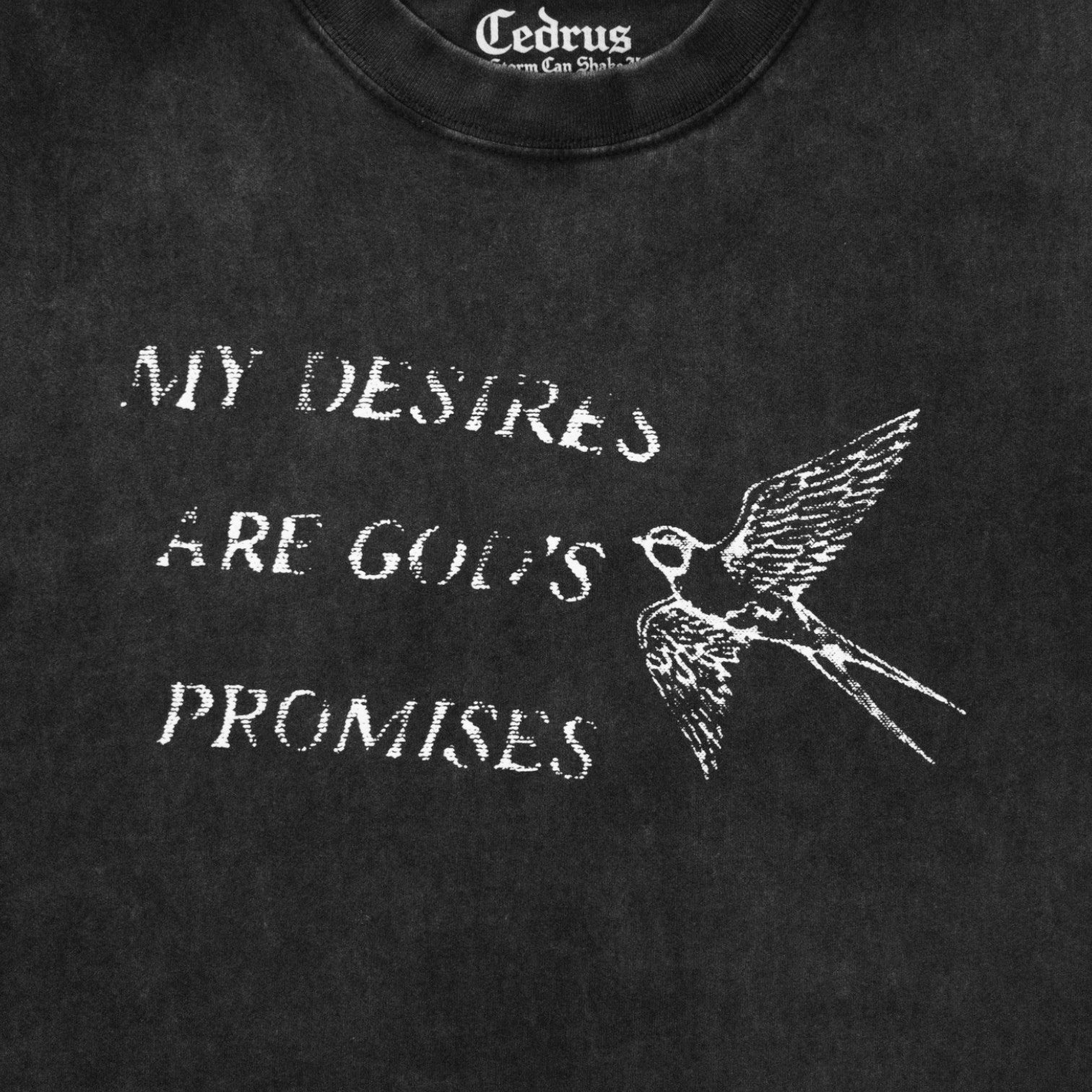 My Desires Are God’s Promises Muscle Tee