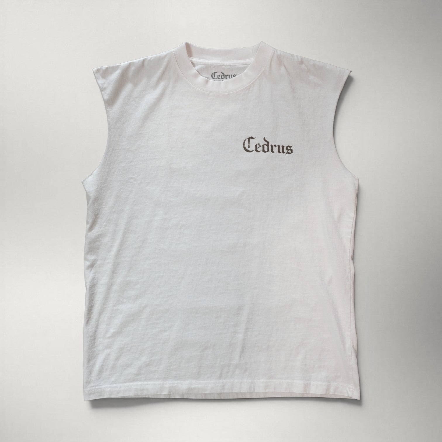 No Storm Can Shake Us Muscle Tee