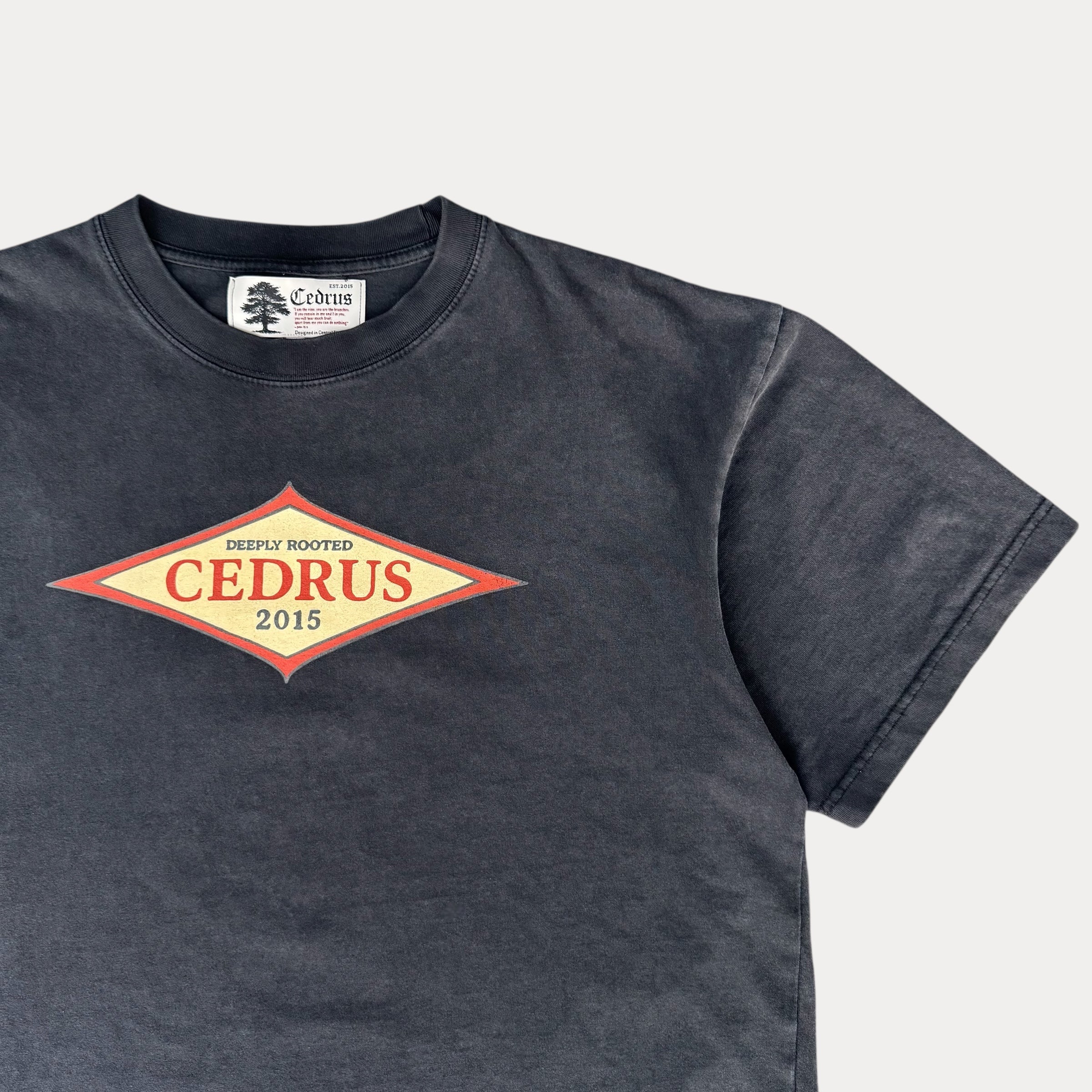 Cedrus Heritage Tee — Deeply Rooted